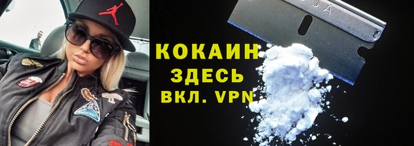 крисы Новодвинск