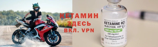 крисы Новодвинск