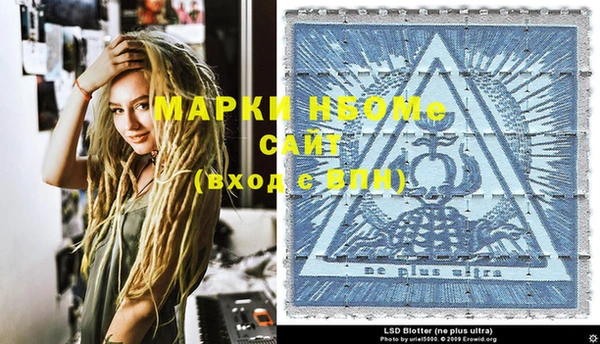 крисы Новодвинск