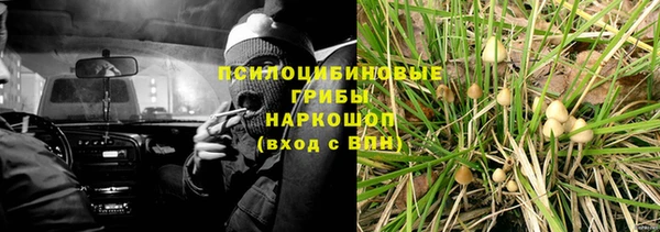 бошки Новокубанск