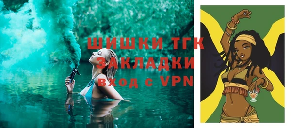 крисы Новодвинск