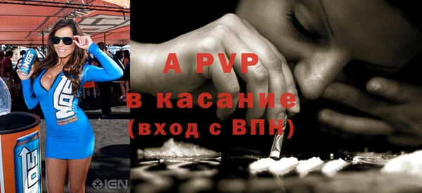 крисы Новодвинск