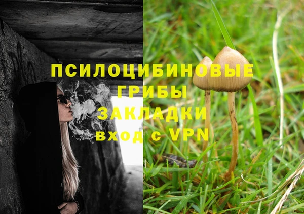 крисы Новодвинск