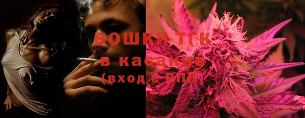 крисы Новодвинск